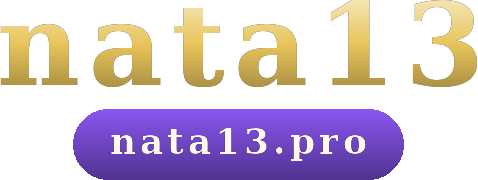 nata13 โลโก้